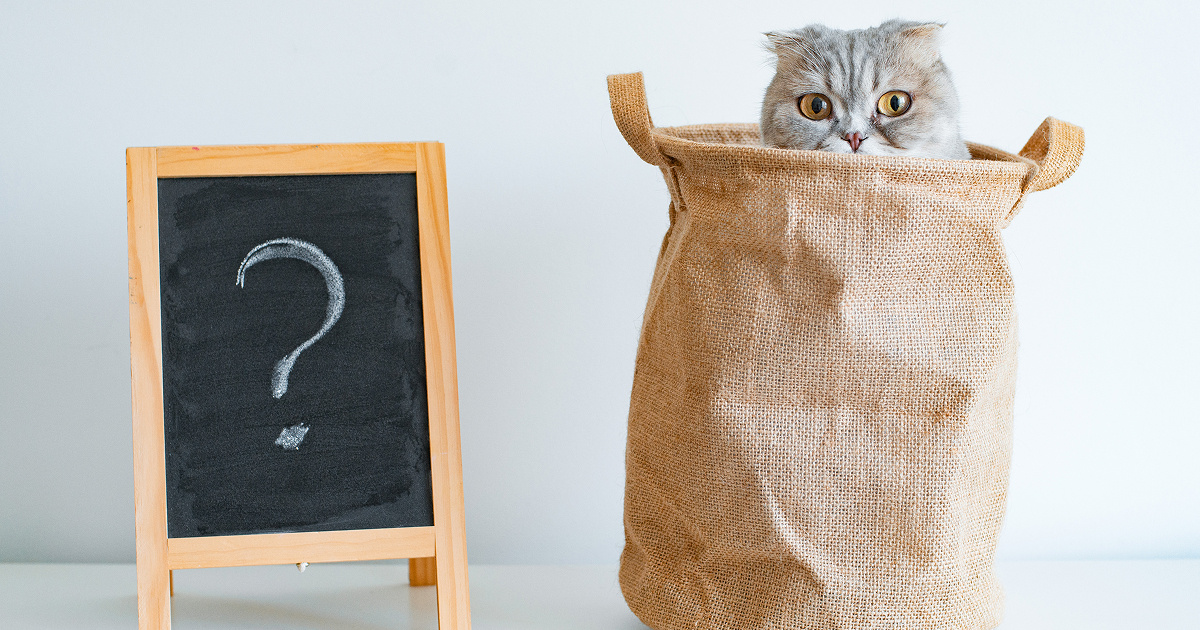 Новые правила годового отчета для УО и ТСЖ: что важно знать