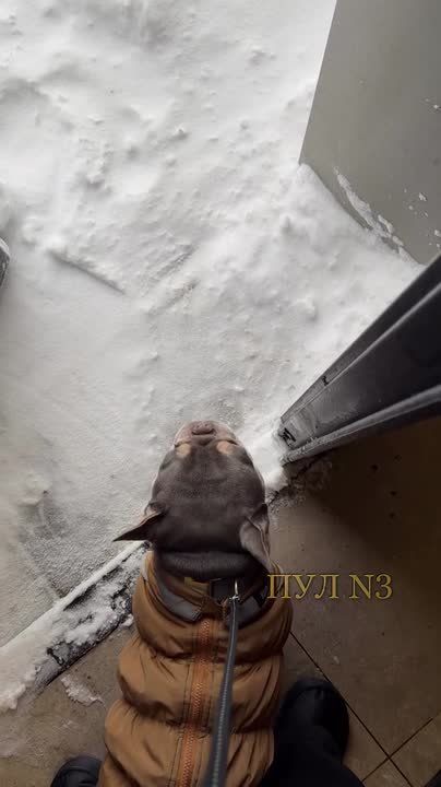 ���� ���?�:. ������ ������������� � ������ � ������ �� 3 �������