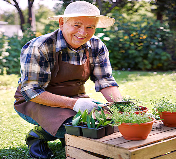 Новые правила назначения надбавки к пенсиям для сельчан в 2026 году