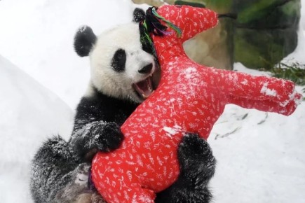 ������ ���� ����������.  ���������� �������� ������� ������������� ��������� ����� ���