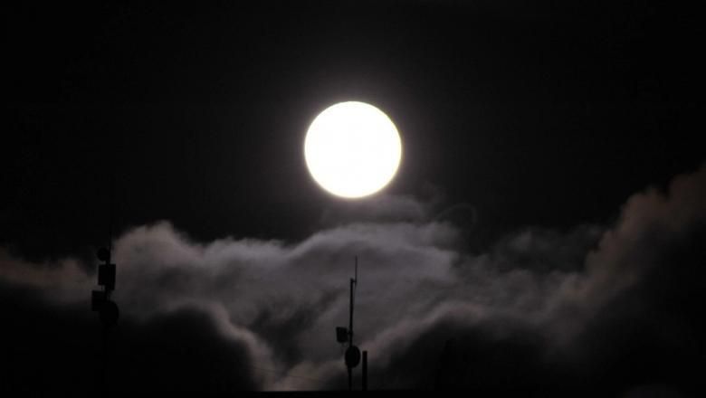 �������� ����� ���� �������� �����, ����� ����������