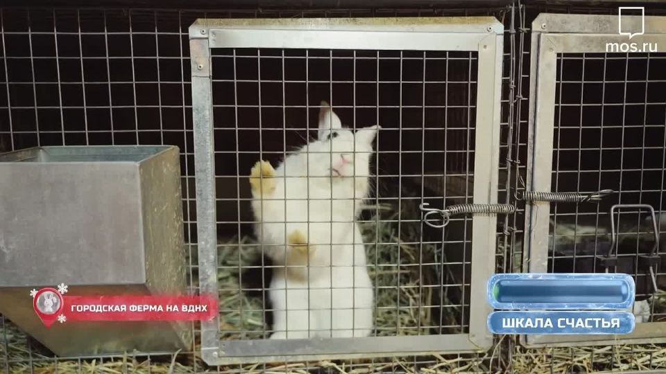 ������ � ��� �����, ��� ���� ��������� �������� ����� ������������ � ������������� �����