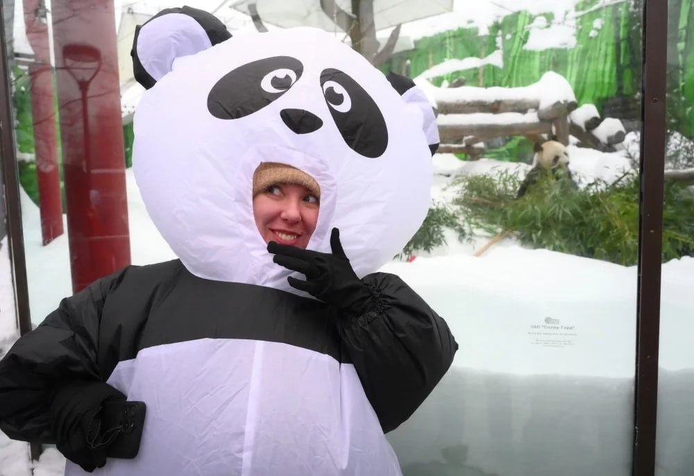 Пандам вход бесплатный. В Московском зоопарке сегодня отпраздновали Китайский Новый год Пандам вход бесплатный. В Московском зоопарке сегодня отпраздновали Китайский Новый год