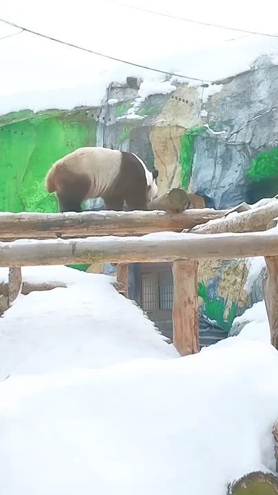 �������, � ������ �������� ����� �������� � � ��� ���� ����� ������ �� ����������� ��������