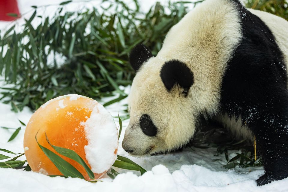 � ���������� �������� ���������� �������� ��������� ����� ���