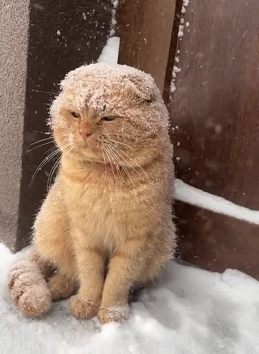 ������ ����, ������!. ����������� � ����, ����� ����� ������ �� ������� � ������ ������ ��, ��� ��-���������� �������