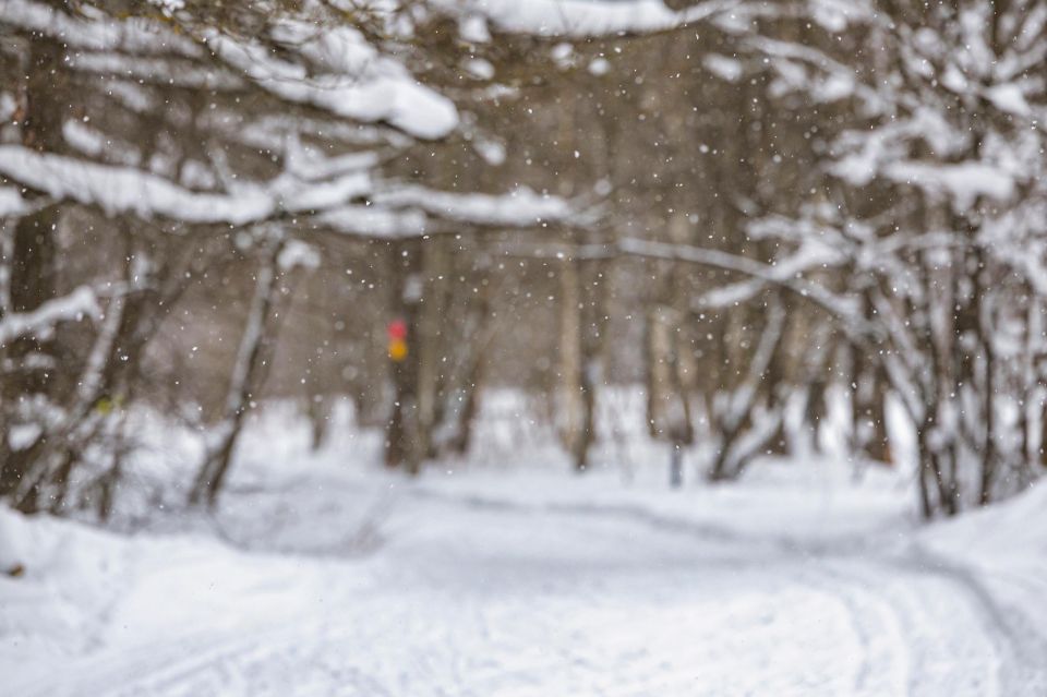 ������ � 08:00 � �� ����� ����� � ������� ��������� ��������