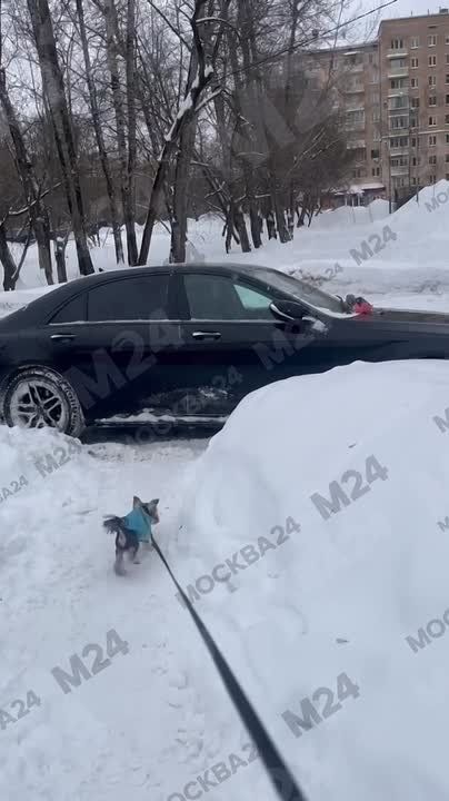 ������ �������� ��������� ��������� �� �������������� �����