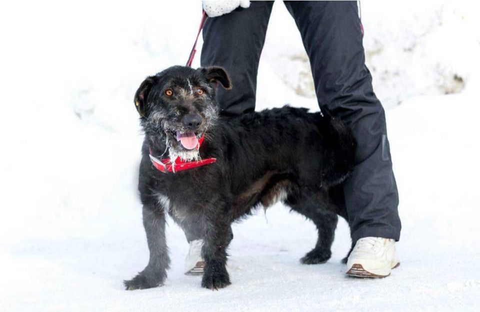 ���� �������� ����� ������� ����� ��� ���� ����� �� ������ ��������