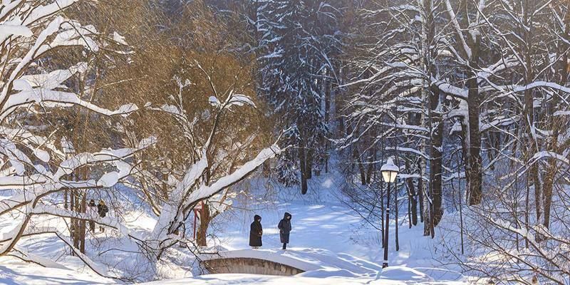 ��������� ������ ������� � ������ ����� �������� � �������