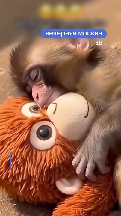 ��������� ������ ���� �������� �������� ������ �� ������ ��������� ������, �������� �������� ������� �������� ����