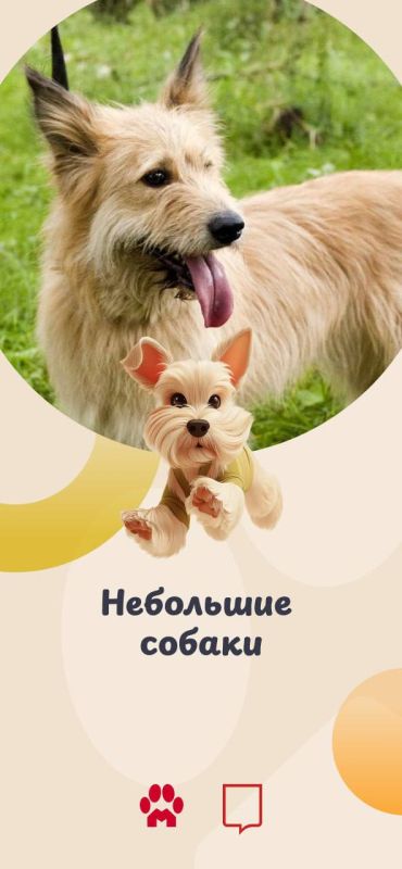 ��� ������ ������������� ����� ����� ��������� ��� ����� �����