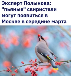 ������� ���������� ����� ��������� � ������ � �������� �����: ����� ����� ������� �� ������������� ������ ��� ����������