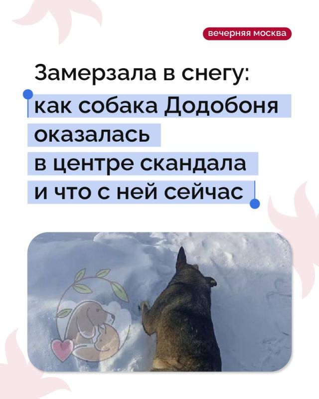 ������� �� �������: ��� ������ ������ �� ������ �������, ������� ����� ������ ��������� ������