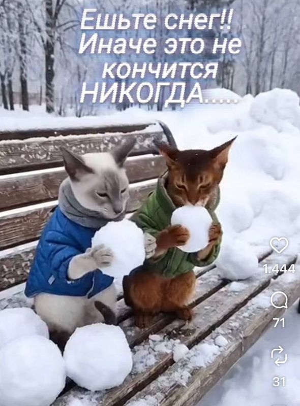 Марат Баширов: Это о нас, москвичах.. …. Нашел в запрещенной Инсте