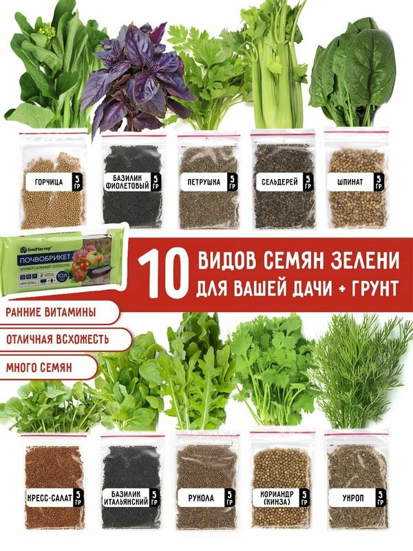 Как вырастить зелень на подоконнике: идеальный набор для дачников и городских жителей