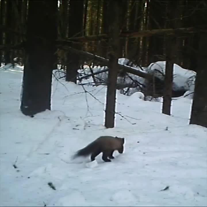 � ����� � ������ ������. �������� ��������� ������������� ����������� � �����