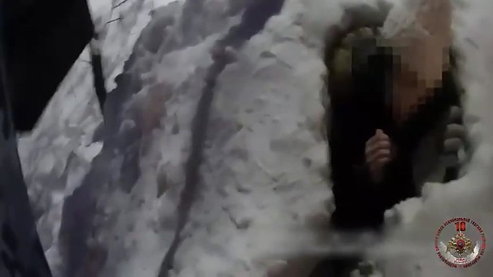 Росгвардейцы спасли десятилетнюю девочку в Москве