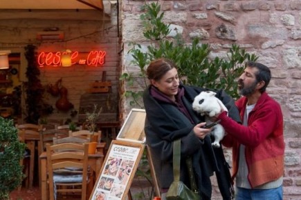 ������� ������� ������ ���������� ����������� ���� � ������� ���������