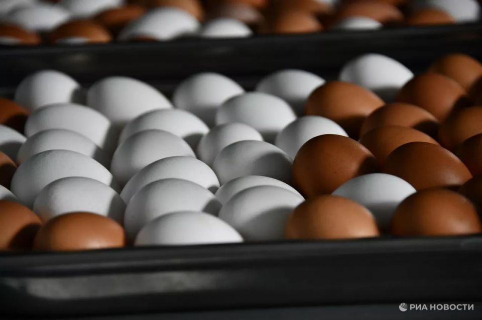 ����� ������� �� 4,5 ���� �������� ���� �� ������