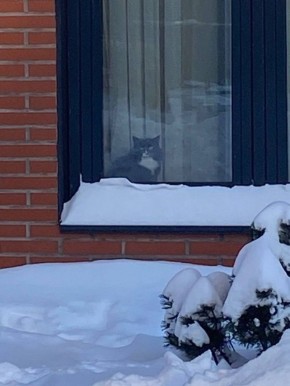 ���������: ���������� -5 ��������� ��� -9. � ������� ��������, �� ���� ��� ���������