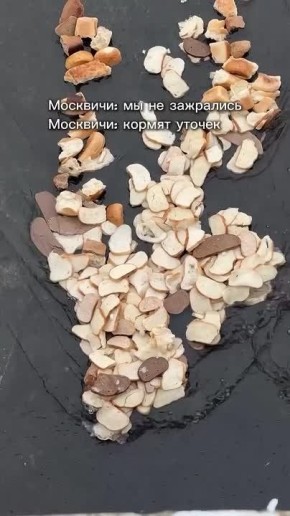 � �������� ������� �������� � ����� ��-�� ���������� ���� ����� ���������