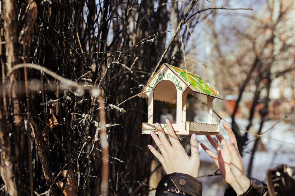 ������ ��������� ����� � ������� ��� �������?