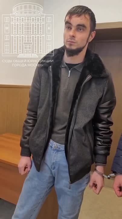 Суд арестовал на 15 суток хулиганов, устроивших массовую драку в московском ТРЦ "Щука"