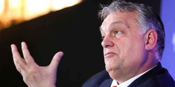 ����� ������: �������� ������ (���): ���� ����� ������� ������ �� ���� �������� ����� �����