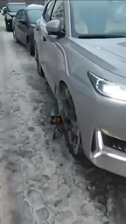 � �� ����������� ���������� �������� ������ ���������� �� ��������