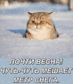 �� +4 �� ����� ��������� � ������ ��� � ��� ��������