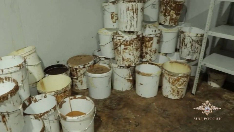 ������ ������ �������� ������ �� ������������ �������