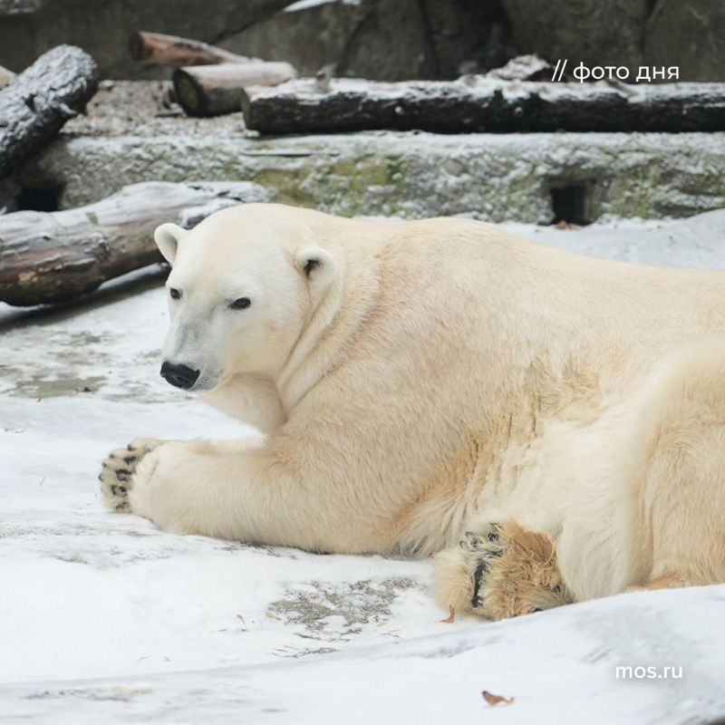 ������� ���������� ������������� ���� ��������� �������