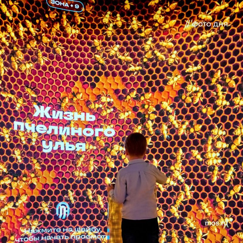 ������ ������ � ��������� � ������������� ���� ���������� �������� ���� ����� �� �������� ��������� ���