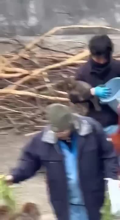 ��������� ������� ���� ���������� ��������: ������ ���� ��������� ������ � ������� ��������� �������� � ��� ����� ����������