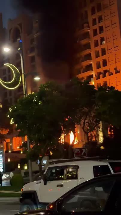 ������ ������ � �����. ����� ������� � ����� � ������ Palm Jumeirah ����� ��������� �����