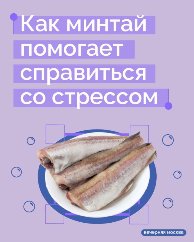 �������� �������: ������ ����� ������ �������� ���������� �� �������� � ����������