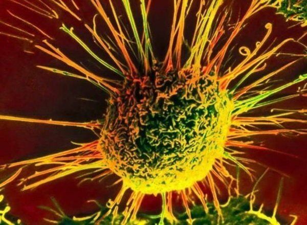 ������ ��� ������� �������� ��������