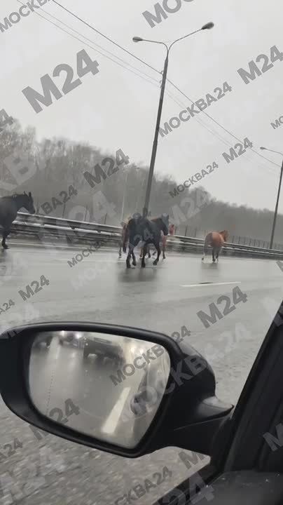 ������� �������� �� ��������������� ����� � ������� ��������