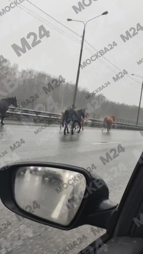 ������� �������� �� ��������������� ����� � ������� ��������