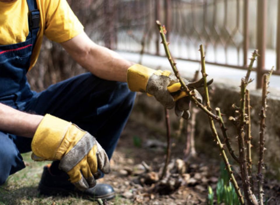 ��� ������� � ����� ���� ����� ����: ����������� ���� �� ����������