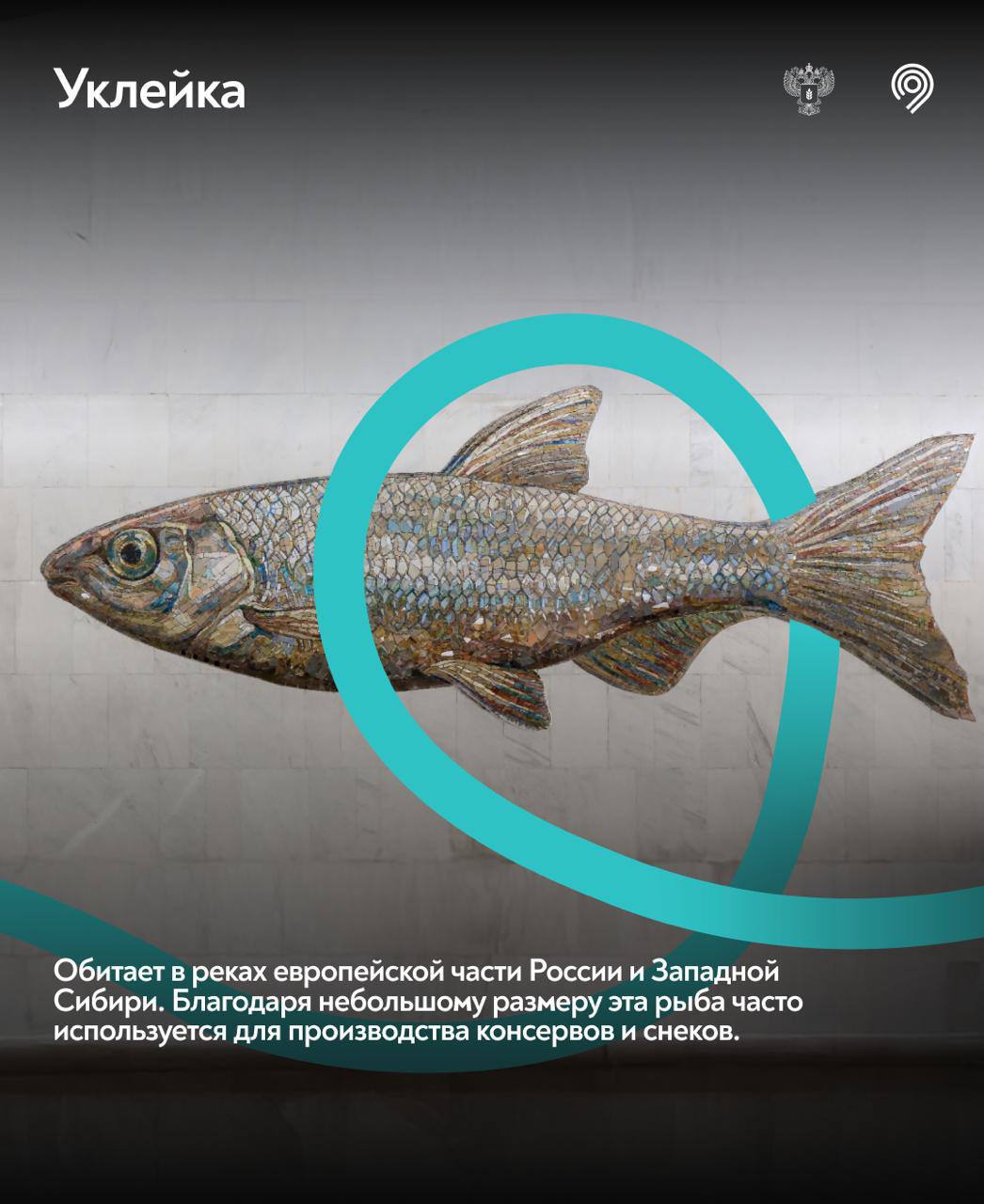 Самая «рыбная» станция Москвы Самая «рыбная» станция Москвы