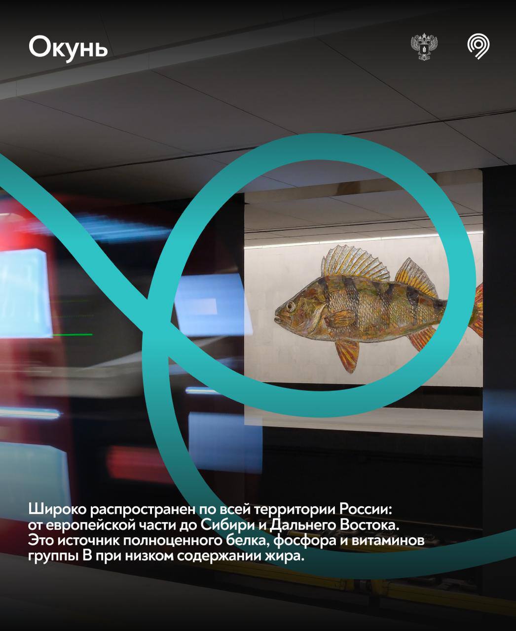 Самая «рыбная» станция Москвы Самая «рыбная» станция Москвы