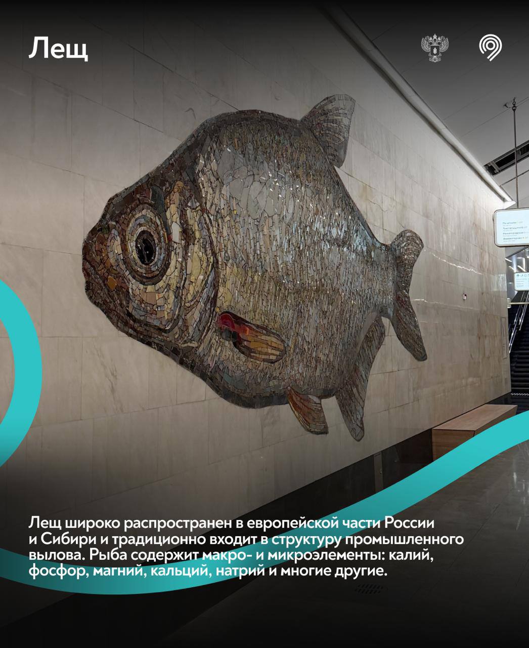 Самая «рыбная» станция Москвы Самая «рыбная» станция Москвы