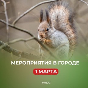 ��������� ������ ���� ����� � ������! ������� ��� ��� ����� ���������� ����������� � ����� ���������