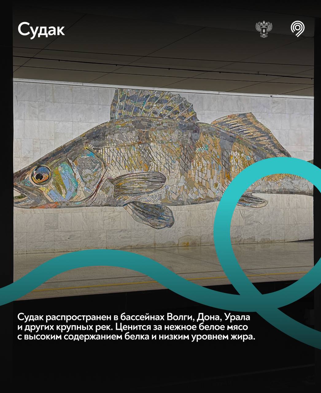 Самая «рыбная» станция Москвы Самая «рыбная» станция Москвы