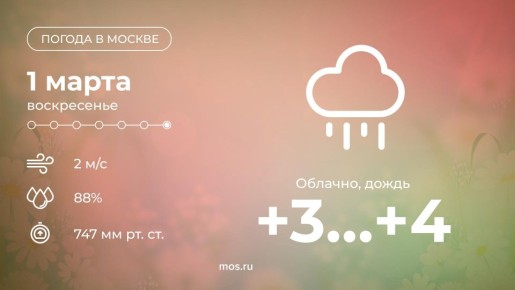 ������ ����! � ������ ���� ����� ����� �������