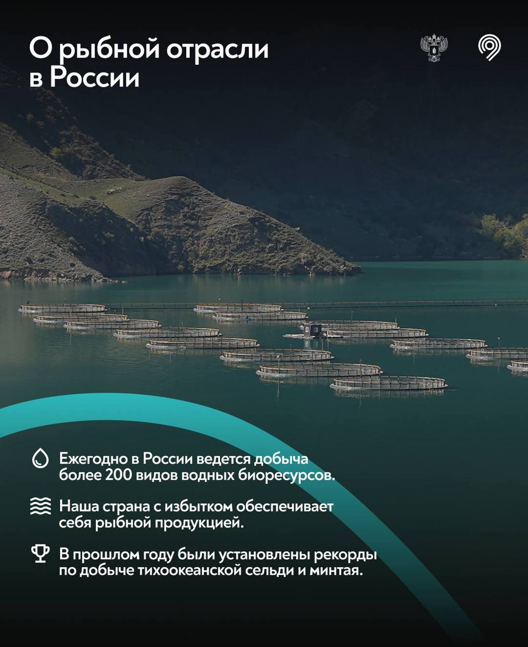 Самая «рыбная» станция Москвы Самая «рыбная» станция Москвы