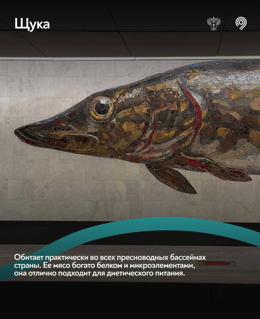 Самая «рыбная» станция Москвы Самая «рыбная» станция Москвы