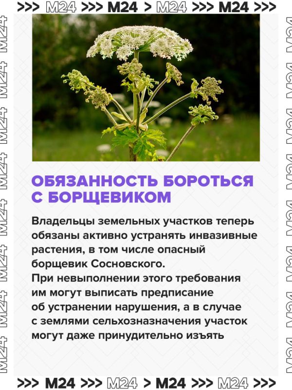 � 1 ����� � ������ �������� � ���� ����� ������